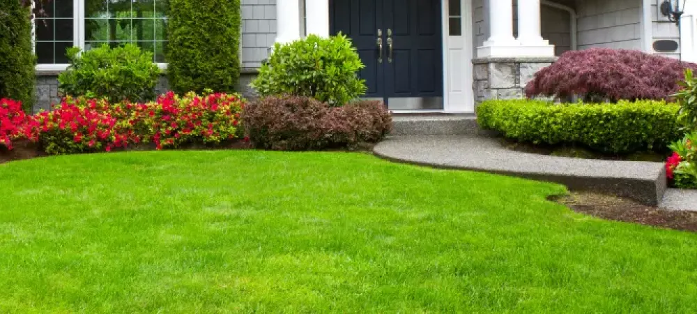 picture of lawn with the front of a house in the background