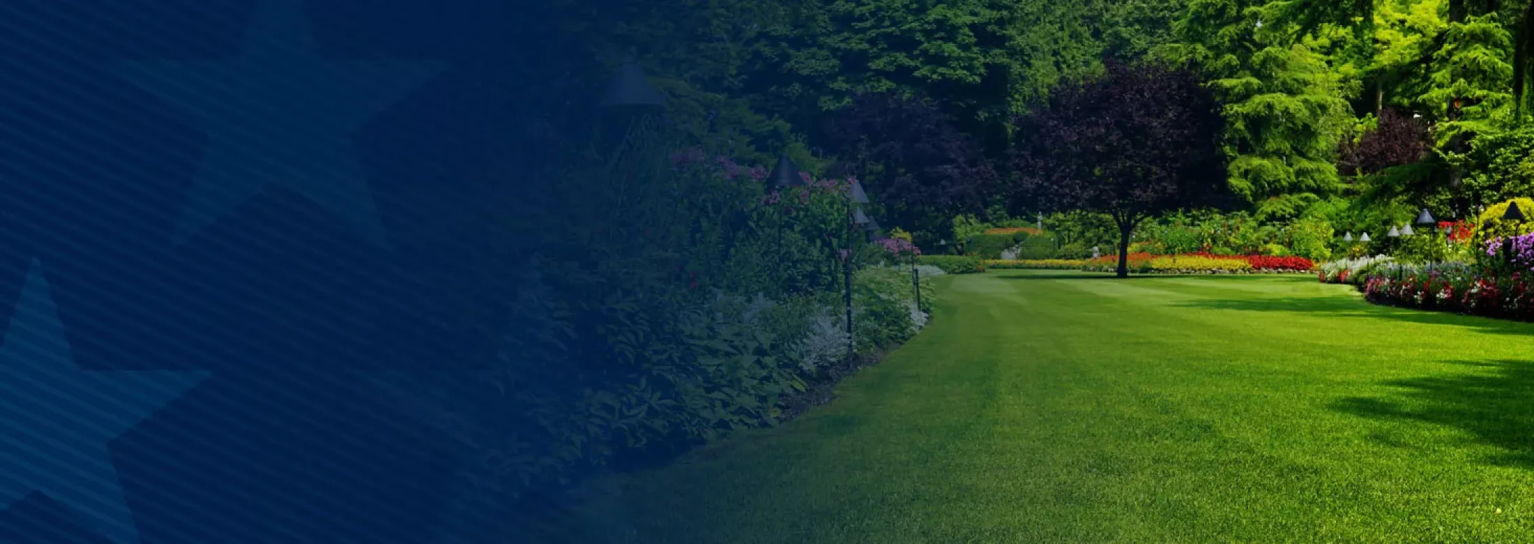 Green Healthy Lawn