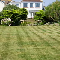 picture of grass with a house in the background 